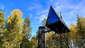 Pan Treetop: Image 4