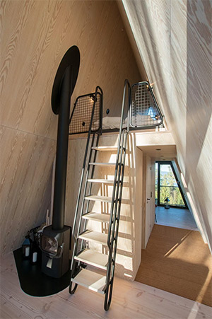 Pan Treetop: Image 5