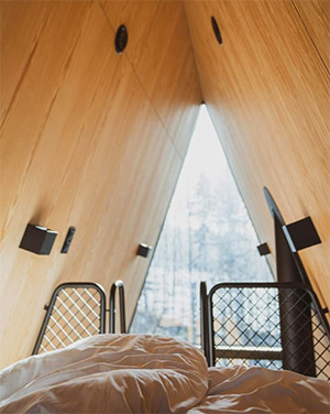 Pan Treetop: Image 7