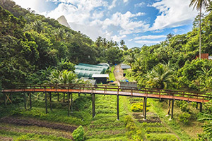 Rabot Hotel from Hotel Chocolat: Image 1