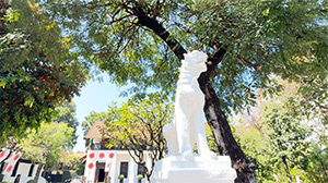 Rachamankha Hotel: Image 8