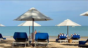 The Sarojin: Image 8