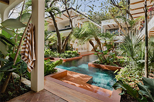 Sendero Nosara: Image 5