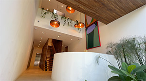 Silvestre Nosara: Image 4