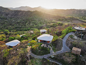 Suitree Experience: Image 1