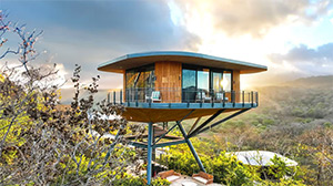 Suitree Experience: Image 5