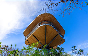 Suitree Experience: Image 6