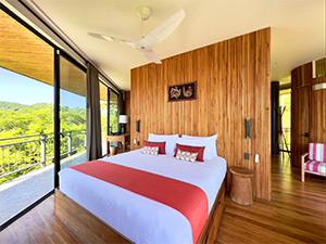 Suitree Experience: Image 7