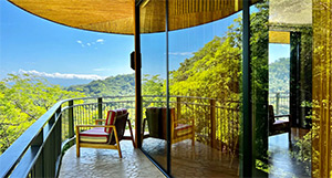 Suitree Experience: Image 8