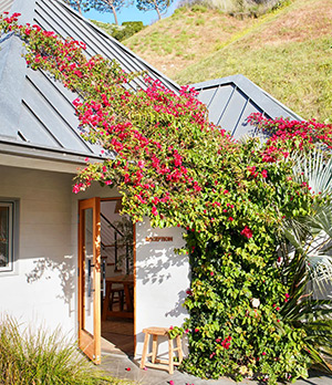 Surfrider Malibu: Image 1