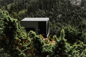 The Birdbox: Image 1