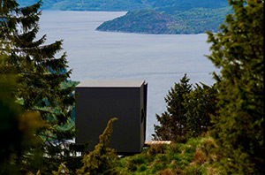 The Birdbox: Image 3