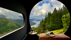 The Birdbox: Image 4