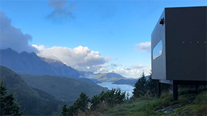 The Birdbox: Image 5