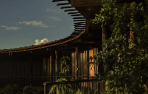 The Round House: Image 7