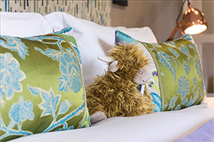 The Torridon: Image 7