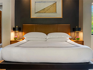 Thompson Zihuatanejo: Image 5