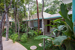 Tiki Tiki Tulum: Image 6