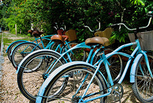 Tiki Tiki Tulum: Image 8