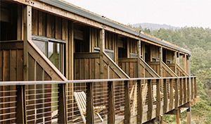 Timber Cove: Image 5