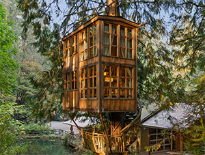 Treehouse Point: Image 3