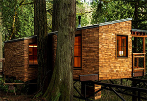 Treehouse Point: Image 6