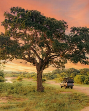 Wild Coast Tented Lodge: Image 5