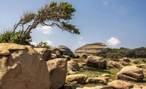 Wild Coast Tented Lodge: Image 7