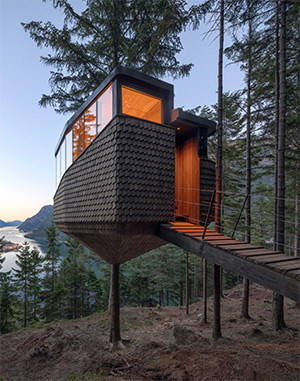 The Woodnest Treehouses: Image 1
