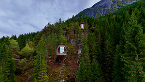 The Woodnest Treehouses: Image 6